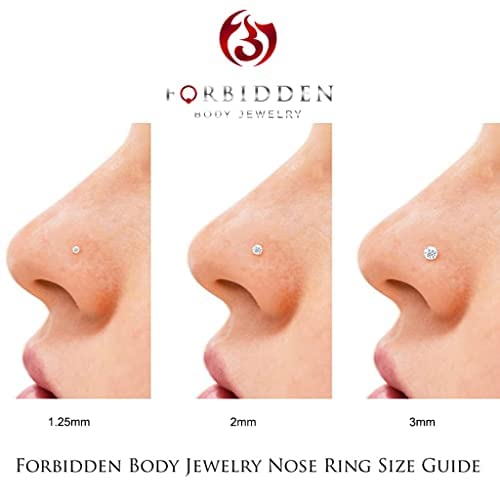 Forbidden Body Jewelry 14k Gold Nose Ring, 20g, Solid 6mm Stud, 2mm CZ Simulated Diamond, Non-Irritating Skin Safe Real Gold, Women and Men - color: 2pcs: 14k White/Yellow Gold