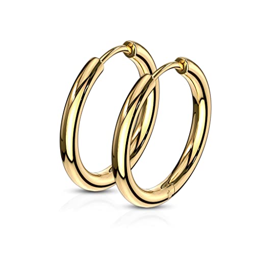 316L Stainless Steel 2.5mm Thick Round Hinged Hoop Earrings, Sold as a Pair - color: Gold Tone, size: 12mm Diameter