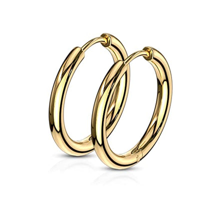 316L Stainless Steel 2.5mm Thick Round Hinged Hoop Earrings, Sold as a Pair - color: Gold Tone, size: 12mm Diameter