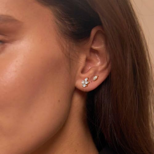 G23 Titanium 16G Tragus Conch Piercing Jewelry Flat Back Stud Earrings | Hypoallergenic CZ Nose Dangle Helix Medusa Lip Labret Body Piercing Jewelry, 14K Gold Plated, Silver, 6 and 8 mm Post Length - color: Radiant Vine-14K Gold