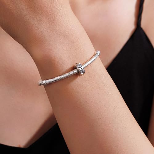 KEQ 925 Silver Spacer Stopper Bead Charms Clearance for Pandora Bracelets Birthstone CZ Always Stopper Birthday Gifts for Mom Grandmom Granddaughter Wife Sisters Friends - color: Double row of CZ(2 Pcs)
