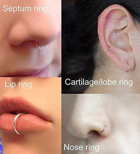 PAIR (2 PCS) 18G 5/16" (8mm) Rainbow Titanium Plated Hinged Segment Seamless 316L Surgical Stainless Steel Nose Septum Clicker Ring Huggie Sleeper Hoop Earrings Cartilage Helix Lobes Body Piercing