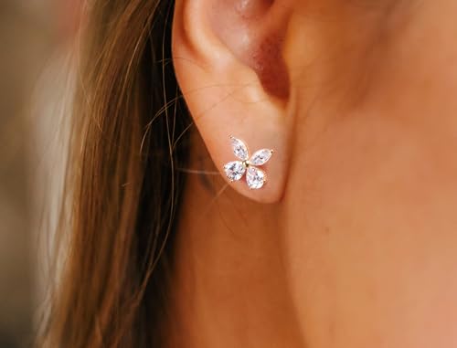 Princess Collection - "Sparkling Romance" - 11.7 mm (3.65 Carat/Pair) Cubic Zirconia 22K Gold-Plated Stud Earrings For Sensitive Ears