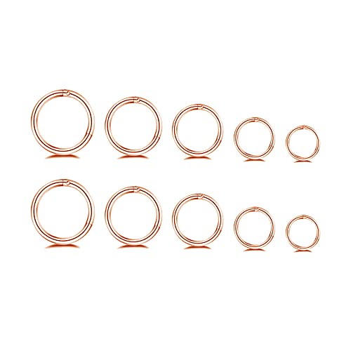 5Pairs Surgical Stainless Steel 16G Sleeper Cartilage Daith Tiny Small Hoop Earrings Mini Septum Hinged Clicker Nose Ring Helix Tragus Piercings Unisex Fashion Huggie Hoops Set 6-14MM - color: Rose gold