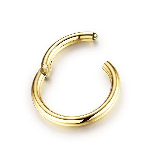 5Pcs Stainless Steel 16G 18G Sleeper Hoop Earrings for Women Men Septum Hinged Clicker Nose Lip Ring Helix Daith Cartilage Tragus Piercings Tiny Small Huggie Hoops Hypoallergenic Sensitive Ears Jewelry - style: 10mm in gold-tone 16G