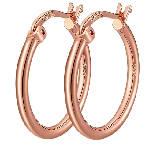 2mm Thin 14K Gold Plated Large S925 Sterling Silver Hoop Earrings for Women Hypoallergenic Big Hoop Non Tarnish Earrings Lightweight 20/30/40/50/60/70mm - color: Rose Gold-30mm