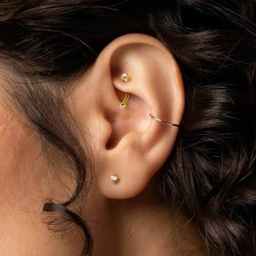 2 Pcs 14k Gold Filled Eyebrow Rings, 16G Threaded Rook Piercing Jewelry, Surgical Steel Vertical Lip Labret Belly Tongue Ring Daith Earring Curved Barbells - color: 10mm-2pcs Inlaid CZ
