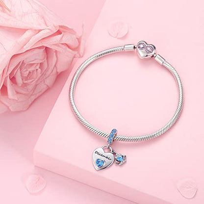 Birthstone Charms for Charms Bracelet: 925 Sterling Silver Heart Dangle Charms for Bracelets and Necklaces, Birthday Mother's Day Christmas Gifts For Women. - color: December