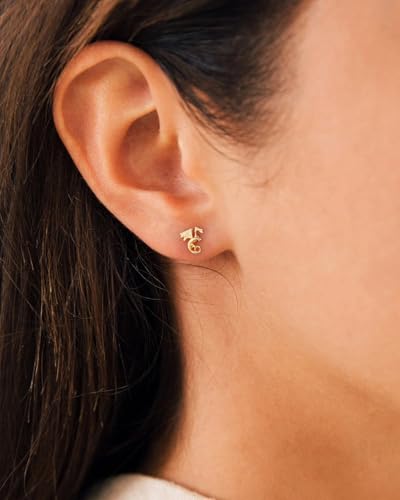 Stud Earrings for Women- 14K Gold/White Gold Plated/Black Bow Dragon Softball Snake Bat Stud Earrings - color: Dragon