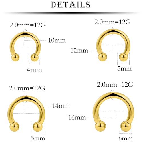 12G Septum Rings Ear Gauges Earrings Hoops Eyebrow Piercings lip Rings Hoop 316L Surgical Steel Cartilage Helix Tragus Rook Daith Earrings Piercing Jewelry for Women Men 10mm 12mm 14mm 16mm - style: 12G，10mm-16mm，Gold Tone