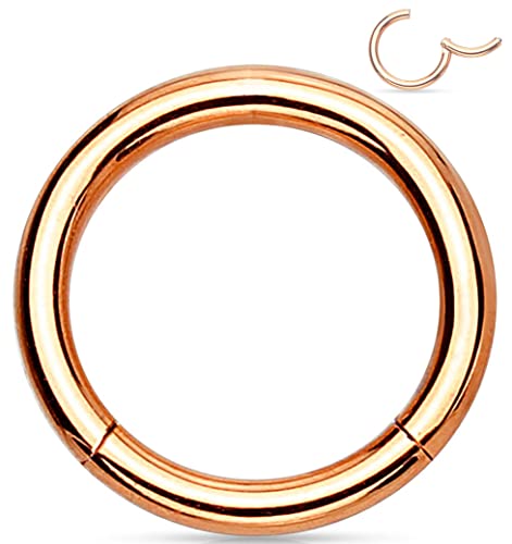 Forbidden Body Jewelry 316L Surgical Steel Hinged Seamless Nose Rings Hoop 14G 16G 18G, Diameter 6mm 8mm 10mm 12mm, Gold/Rose Gold/Silver/Black/Rainbow Colors. - style: 14g 12mm - Rose Gold