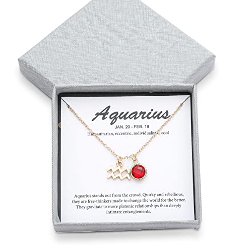 14k Gold Plated Zodiac Birthstone Crystal Pendant Necklace, Horoscope Sign Charm Necklace for Women Birthday Gift - color: Aquarius-Jan.