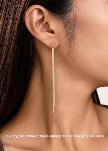 Dangle Earrings for Women - 14K Gold/White Gold/Rose Gold Plated Butterfly Heart Star Hoop Chain Long Tassel Cubic Zirconia CZ Dangle Earrings - color: Line Tassel