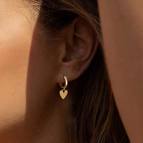Heart Dangle Hoop Earrings for Women | 14K Gold Plated Love Heart Huggie Earrings, Hypoallergenic Dainty Jewelry Gift for Women - style: G- Loving Heart