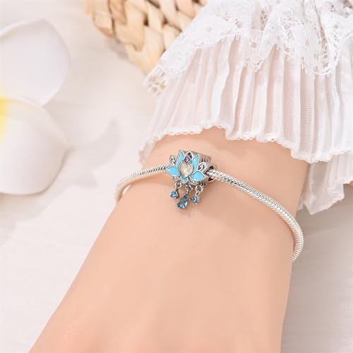925 Sterling Silver Charms for Bracelets and Necklaces Beads Charms Jewelry Gift for Women - color: silver