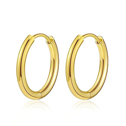 Titanium Huggie Hoop Earrings Hypoallergenic Nickel Free Hinged Sleeper Earrings for Sensitive Skin Cartilage Helix Lobes - style: gold 10mm
