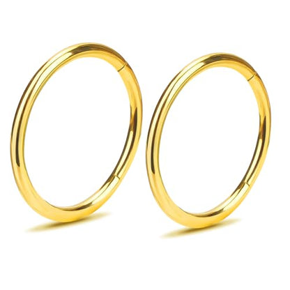 2Pcs Women Men Titanium Nose Rings Hoops 20G 18G 16G 14G 12G Hinged Nose Clicker for Nostril Septum Cartilage Helix Tragus Conch Daith Rook Lip Ear Lobe Piercings Diameter 6mm/7mm/8mm/9mm/10mm/11mm/12mm/14mm/16mm Sliver-Gold-Black-Rose Gold - color: Gold,