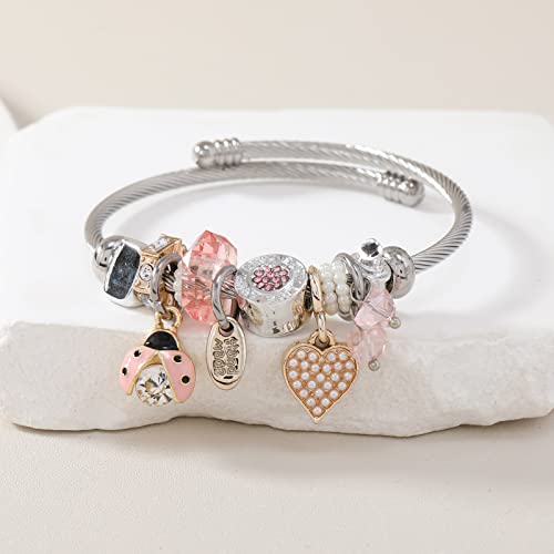 DS Charm Bracelets for girls,exquisite cute cartoon friendship bracelets Silver Stainless Steel Bangle with birthday Gift box, Adjustable girls jewelry Suitable for holiday gifts - style: Silver-pink beetle