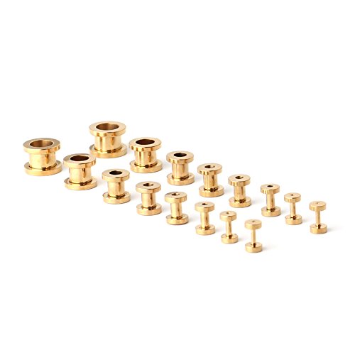 16pcs Surgical Steel Screw Tunnel Gauge Ear Expander Stretching Kit Plugs Piercing -8 Pairs 14g-00g (1.6mm-10mm) - color: Gold
