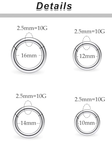 20G-2G Surgical Steel Hinged Clicker Septum Nose Rings Gauges Earrings Seamless Hoops Eyebrow Lip Ring Cliker Helix Tragus Daith Rook Earrings for Women Men - color: Silver, size: 10G(2.5mm)-10/12/14/16mm