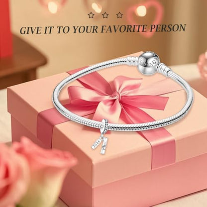 MITSOKU 925 Sterling Silver Charms for Bracelets Necklaces Animal prototype Pendant Safety Chain Dangle Pendants Beads Christmas Day Charms Jewelry Gift for Women - style: Happy Graduation 2025 Degree Certificate