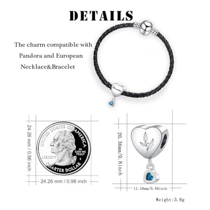 Birth Flower Heart Charm 12 Birthstone Bead for European Bracelet Necklace - style: December