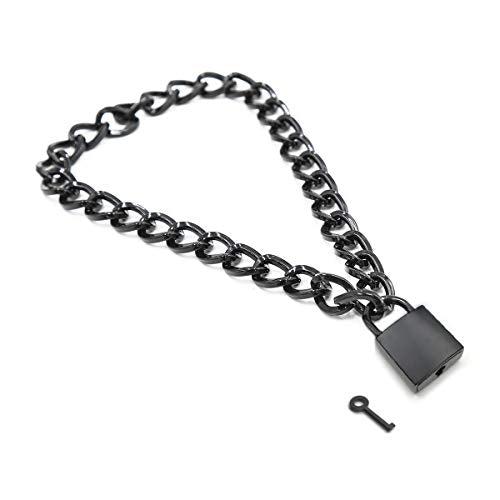 Succuba Padlock Necklace Metal Chain Collar Choker Heart Lock Necklace with Key and Box for Women, Men and Pet (16 to 22 Inches) - color: H