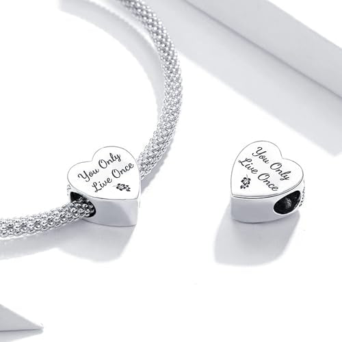 Love Heart Charm Fit for Pandora Charms Bracelets You Only Live Once Charm Birthday Gifts for Women