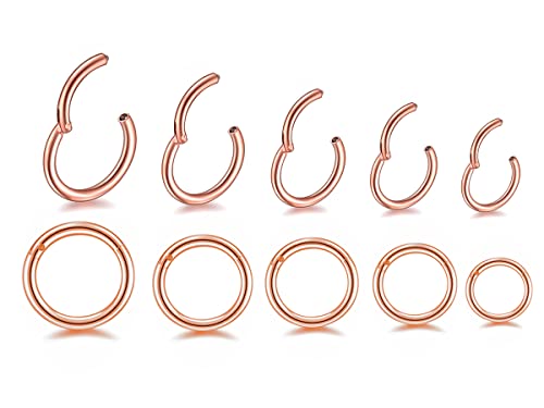 HQLA 16G Surgical Steel Hinged Clicker Segment Nose Rings Hoop Helix Cartilage Daith Tragus Sleeper Earrings Body Piercing for women 6mm 8mm 10mm 12mm 14mm - style: 16G - Rose Gold - (6mm-14mm) - 10Pcs