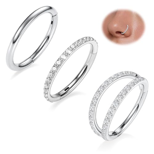 FUNLMO 3Pcs Nose Rings Double Hoop Nose Ring Conch Daith Tragus Helix Rook Piercing Jewelry Surgical Steel Cartilage Earring Conch Hoop Earring Septum Jewelry Lip Ring - color: Style 2: Silver