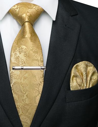 JEMYGINS Mens Solid Color Paisley Necktie and Pocket Square with Tie Clip Sets - color: Gold2