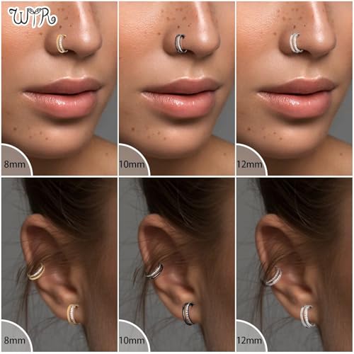 G23 Titanium Conch Piercing Jewelry Hoop: 16G 8mm/10mm/12mm Diamond Cartilage Earring Helix Double Piercing Hoop Septum Rings Hypoallergenic Nose Rings Hinged Segment Clicker Lip Rings Rook Daith Tragus Earrings - color: Black-Double Layers, One Row CZ