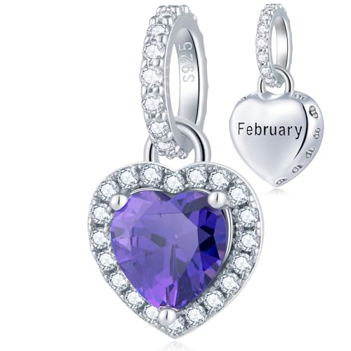 CHAWIN Birthstone Charms, 925 Sterling Silver Heart Dangle Charm, Sparkling CZ Compatible with Pandora Charm Bracelet, Necklace, Birthday Gifts for Women/Wife/Mother - style: 02# February