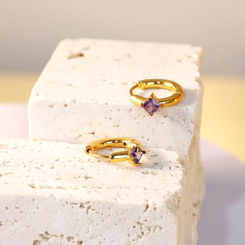 316L Surgical Steel Birthstone Hoop Earrings for Women | Lightweight, 5A Cubic Zirconia, Hypoallergenic, Lead & Nickel Free, 8mm Huggie Hoops - color: 18k gold-plated: 02. February (Amethyst)