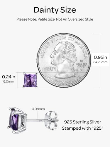 ChicSilver 925 Sterling Silver Earrings Sparkling Heart/Round/Princess Cut Birthstone Earrings for Women Birthday Jewelry with Gift Box - style: A.February(Amethyst)-Princess Cut