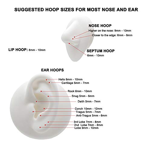 Titanium Nose Rings Hinged Hypoallergenic Nose Hoop for Women & Men | Seamless Clasp, Used in Nostril, septum, lip, and all ear piercings. 20 Gauge to 10 Gauge, Inner Diameter 5mm to 16mm - color: Silver, size: 16 Gauge,8mm