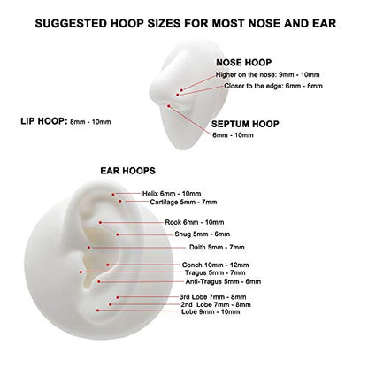 Titanium Nose Rings Hinged Hypoallergenic Nose Hoop for Women & Men | Seamless Clasp, Used in Nostril, septum, lip, and all ear piercings. 20 Gauge to 10 Gauge, Inner Diameter 5mm to 16mm - color: Silver, size: 16 Gauge,8mm