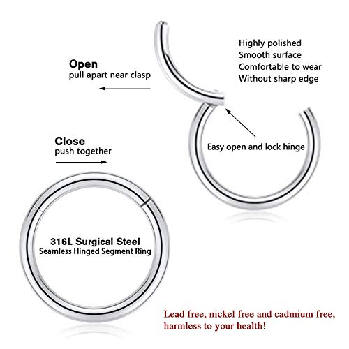 PEAKLINK 316L Hinged Segment Seamless Clicker Ring Nose Ring Hoop Septum Helix Conch Piercing Jewelry 5PCS Daith Lip Lobe Hoop Earrings - color: Single Hoop Ring:Silver/(Rose)Gold/Black/Rainbow, size: 12G 14mm