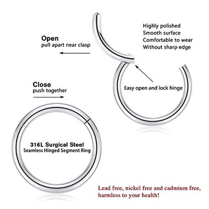 PEAKLINK 316L Hinged Segment Seamless Clicker Ring Nose Ring Hoop Septum Helix Conch Piercing Jewelry 5PCS Daith Lip Lobe Hoop Earrings - color: Single Hoop Ring:Silver/(Rose)Gold/Black/Rainbow, size: 12G 14mm