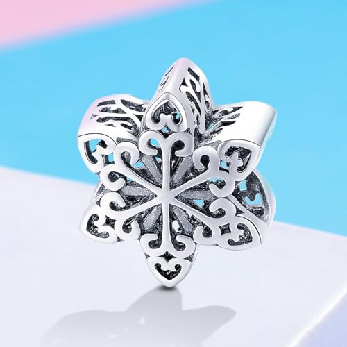 BISAER 925 Sterling Silver Charms for Bracelets Cat Dog Sloth Animal Beads Butterfly Fairy Heart Dangle Pendant Charms - color: Snowflake