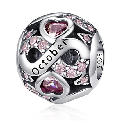 HappyStar 925 Sterling Silver Birthstone Charms fits Charms Bracelets for Woman，with 5A Cubic Zirconia Dangle Pendant Bead,Happy Birthday Charms for Bracelet and Necklace - color: D1 Infinity Symbol October Birthstones