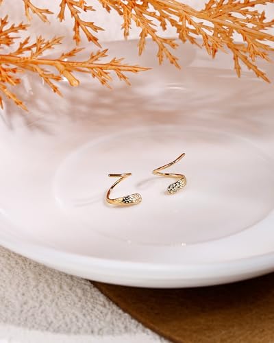 Tiny Double Hoop Earring S925 Sterling Silver Small Hammer Texture Hoop Hypoallergenic Twist Spiral Earrings for Women - Sliver & Gold - color: Gold