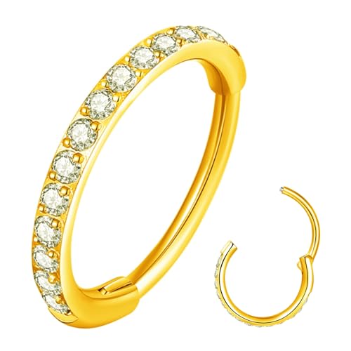 ORANGELOVE 20G 18G 16G Clear CZ Nose Ring Hoop 316L Surgical Steel Seamless Silver Septum Ring Clicker Jewelry Cartilage Earring Ear Piercing Hoop Earrings for Women Men Helix Rook Lobe Conch Tragus Daith Lip Hinged Piercing Jewelry with Cubic Zirconia -