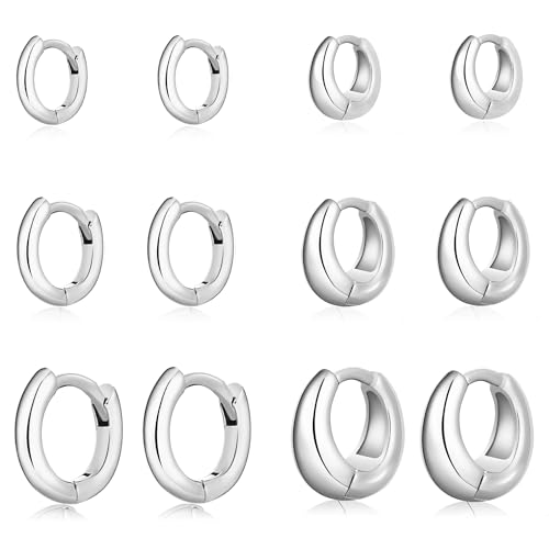Wgoud Small Gold Hoop Earrings Set for Women, 6 Pairs 14K Gold Plated Hypoallergenic Lightweight Huggie Hoops Earrings, Trendy Cartilage Cubic Zirconia Earrings for Women Gifts. - color: 01Silver