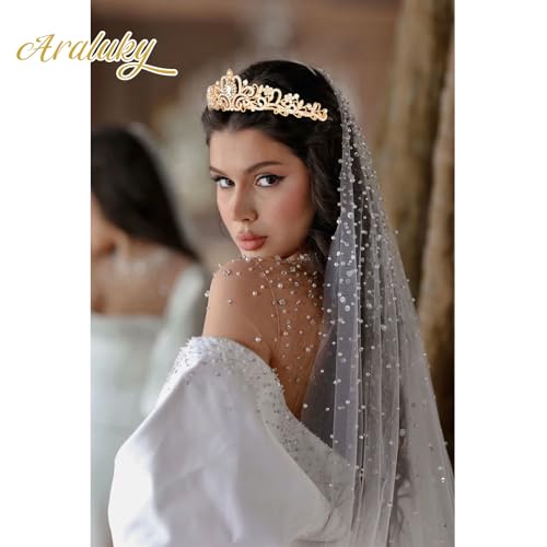 Crystal Tiara Crown Headband Princess Elegant Tiara with Combs for Women Young Ladies Bridal Wedding Prom Birthday Party, Gold - color: Gold