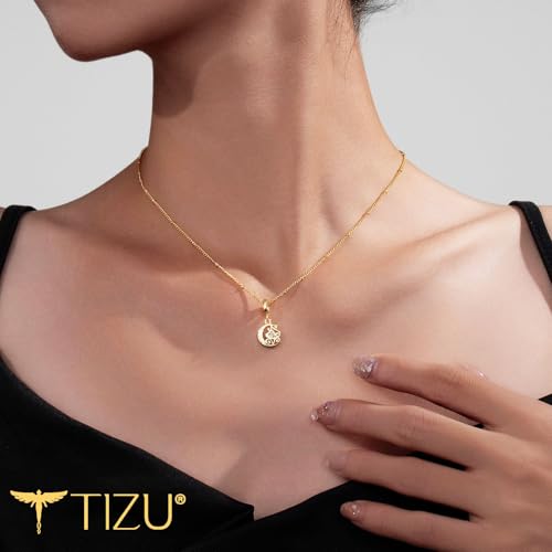 TIZU Initial Necklaces for Women - Dainty 14K Gold Plated Letter Pendant Trendy Personalized Initial A-Z Necklaces Jewelry Gift - color: Gold-C