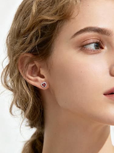FindChic Birthstone Earrings for Women, Round/Heart/Square/Teardrop Earrings with 925 Sterling Silver Posts & Push Backs, Hypoallergenic Studs with Cubic Zirconia, 12 Months Jewelry with Gift Box - style: 01. January-Garnet (Heart-Silver)