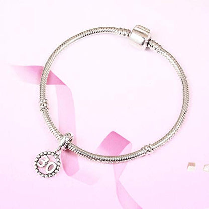 5,10,15,16,17,18,20,21,25,30,35,40,42,49,50,55,60,65,70 Number Charms for European Bracelet, 925 Sterling Silver Birthday Pendant Beads with CZ, Gifts for Mothers Day/Anniversary - color: Silver Color Number 30 Charm