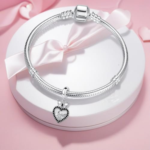 Sweet 16 Celebration Dangle Charm Happy Birthday Compatible with Pandora Bracelet - color: Black
