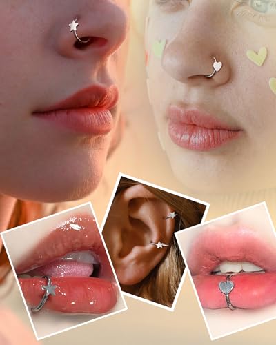 20g Nose Rings Hoops 316L Surgical Stainless Steel Nose Piercing Jewelry Helix Tragus Conch Rook Earrings Hinged Segment Lip Ring for Women Men